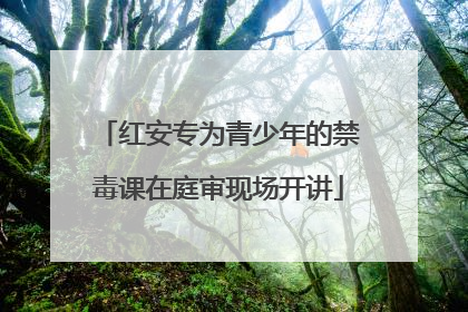 红安专为青少年的禁毒课在庭审现场开讲